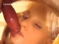 Cute legal age teenager with pigtails sucks giant dogs schlong